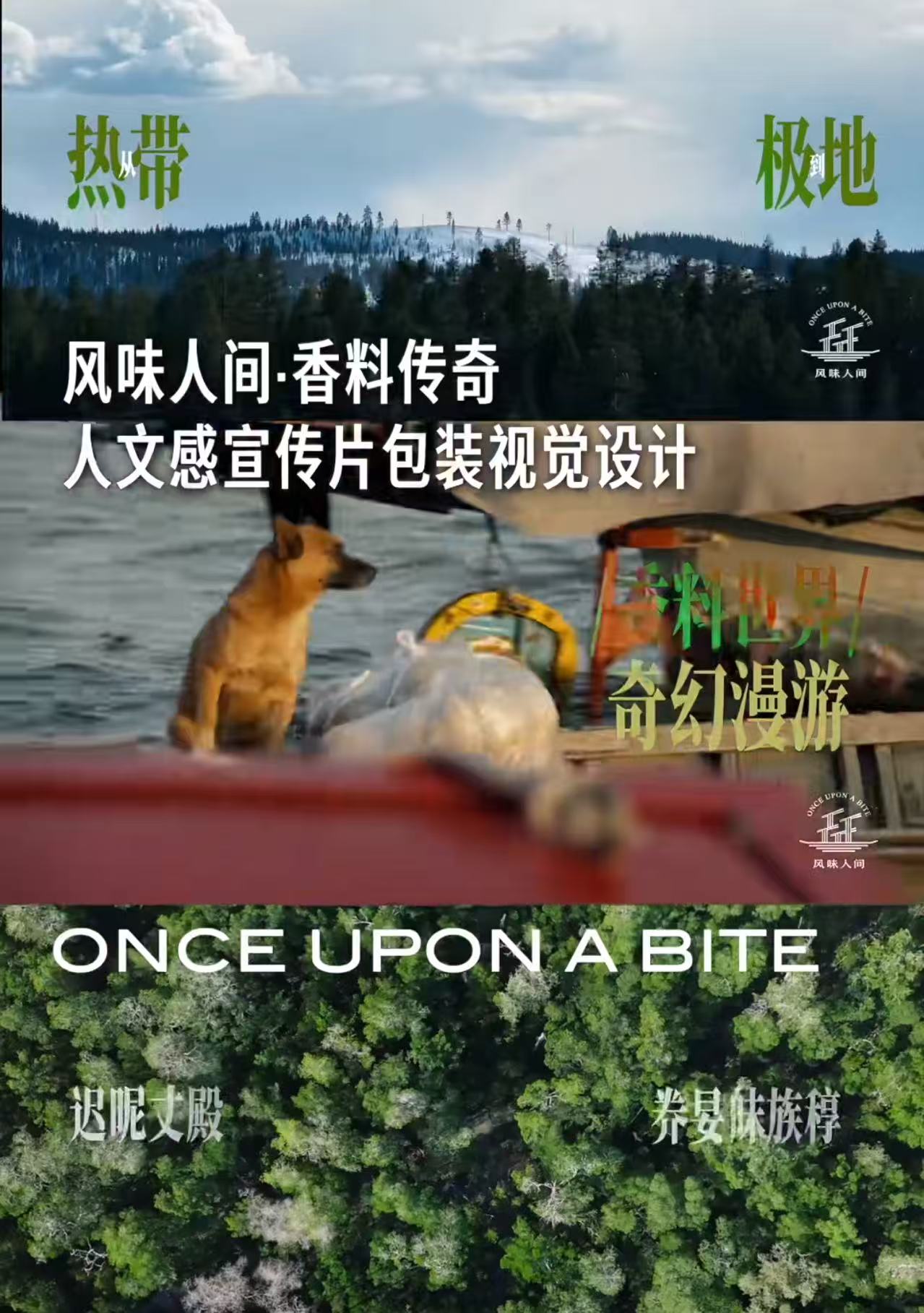风味人间香料传奇宣传片包装设计